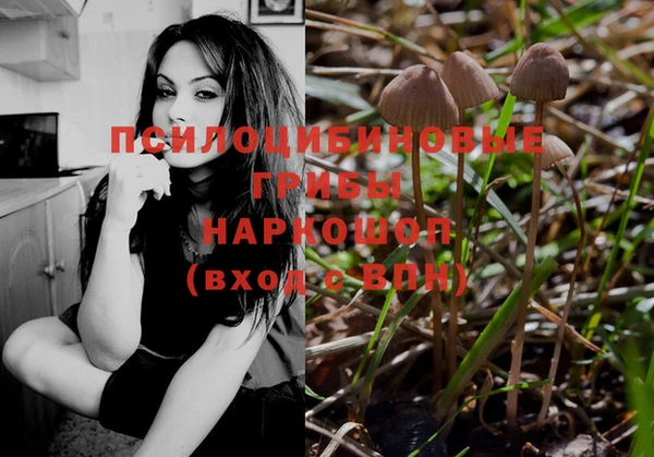 ешки Абинск
