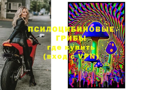 ешки Абинск