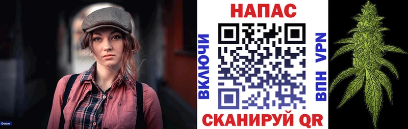 Каннабис план  магазин продажи наркотиков  Старая Русса 